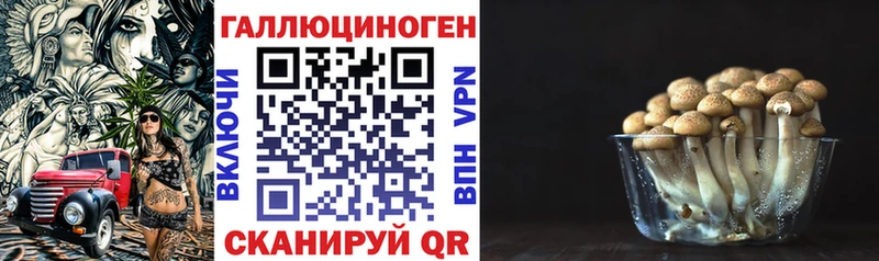Галлюциногенные грибы Cubensis  где купить наркоту  блэк спрут ONION  Алексин 