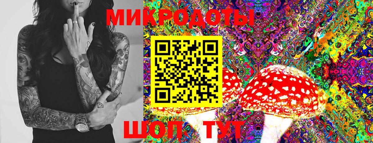 Псилоцибиновые грибы мухоморы  Алексин  Галлюциногенные грибы Magic Shrooms 