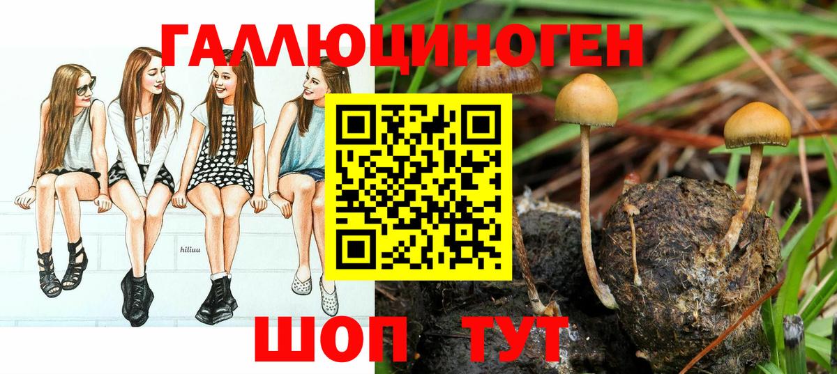 Алексин  Галлюциногенные грибы мухоморы  Вход с VPN 
