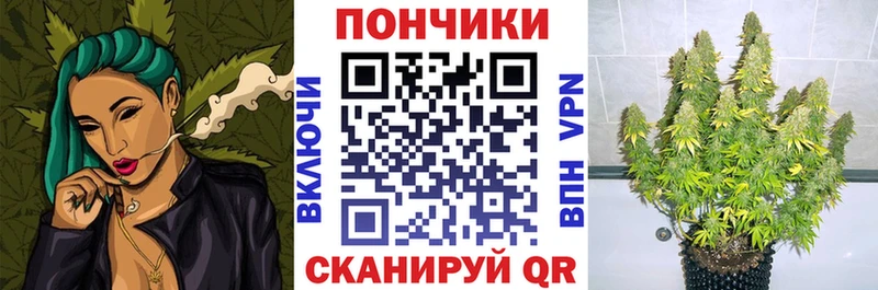 дарнет шоп Алексин Конопля гибрид